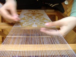 Baranyai Julia_gyongyszoves_vizsgamunka_2008